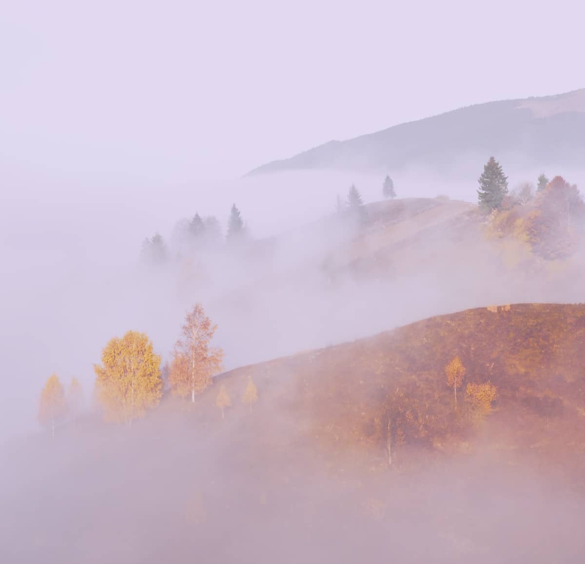 contact Bentonville Acupuncture